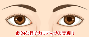 目頭も同時に切開するため、目の横幅を鼻側に広げることが可能です。